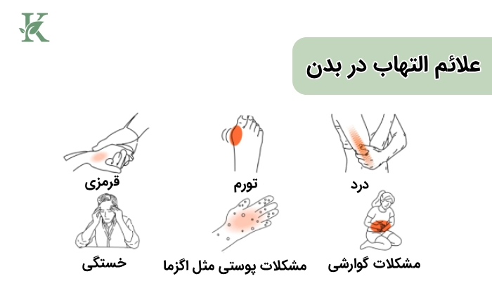 ضد التهاب طبیعی